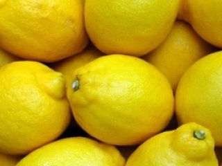 I will sell lemons in bulk. Negotiated price.