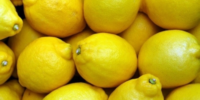 I will sell lemons in bulk