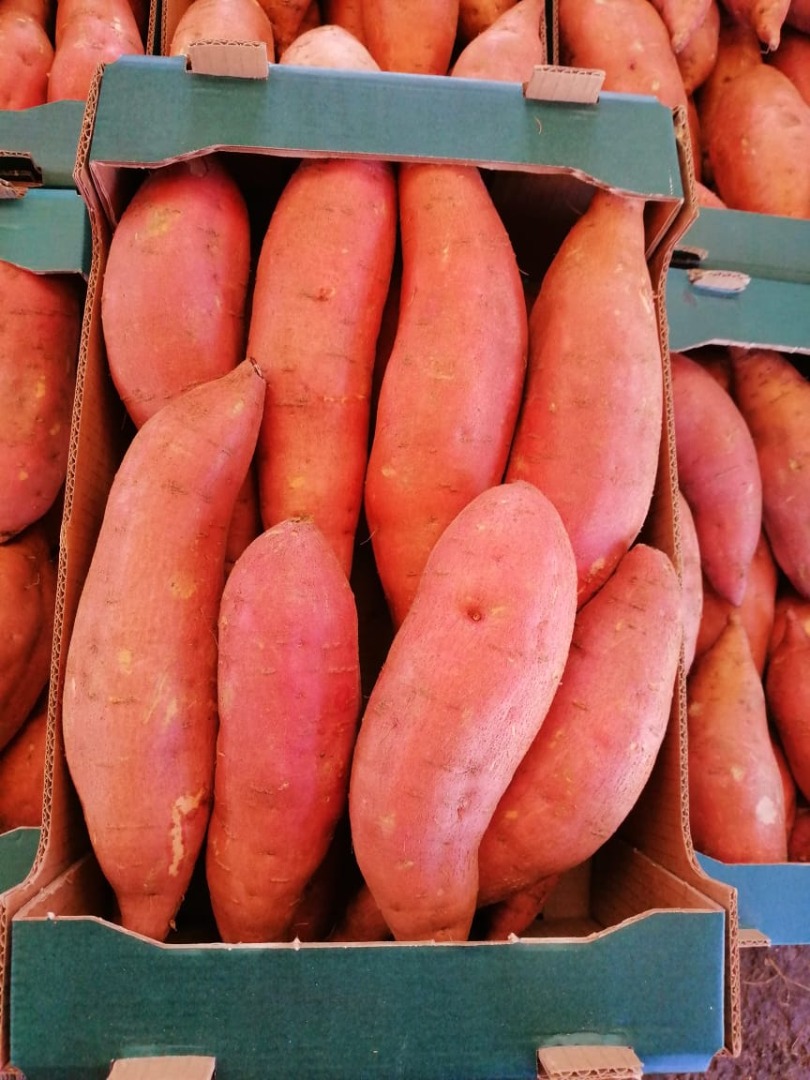 Odmiana słodkich ziemniaków ( Beauregard ) Rozmiary : S - M - L1 - L2 Waga netto w kartonie 6 KGS Łącznie kartony w opakowaniu 3240 Szczegóły dotyczące