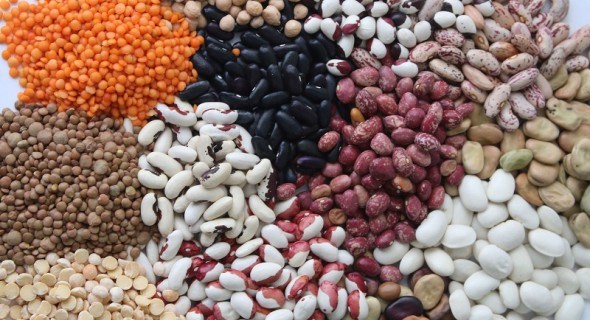 Beans in the assortment