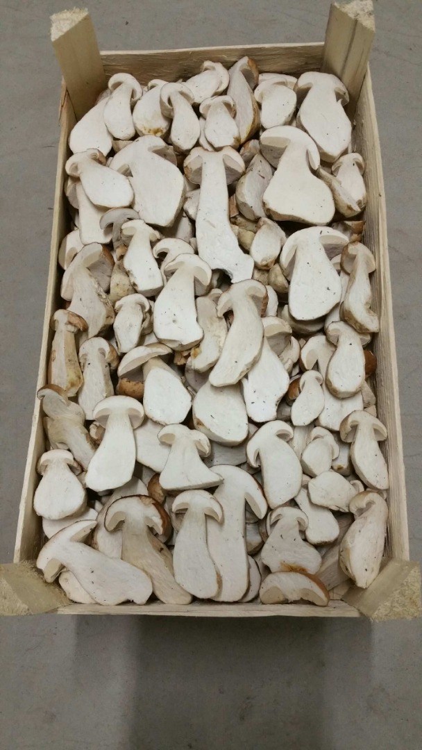I will sell fresh mushrooms - wholesale quantities - boletus - chanterelles - funnel - colic