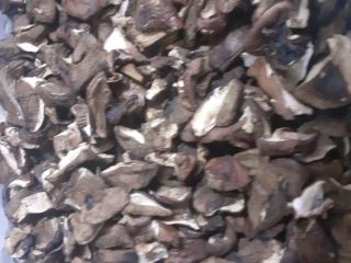 This year's boletes are dried in dryers