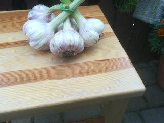 I will sell garlic, harnaś variety. Garlic sold for