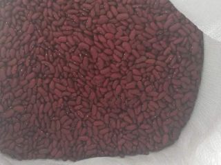 I will sell dry red beans this year