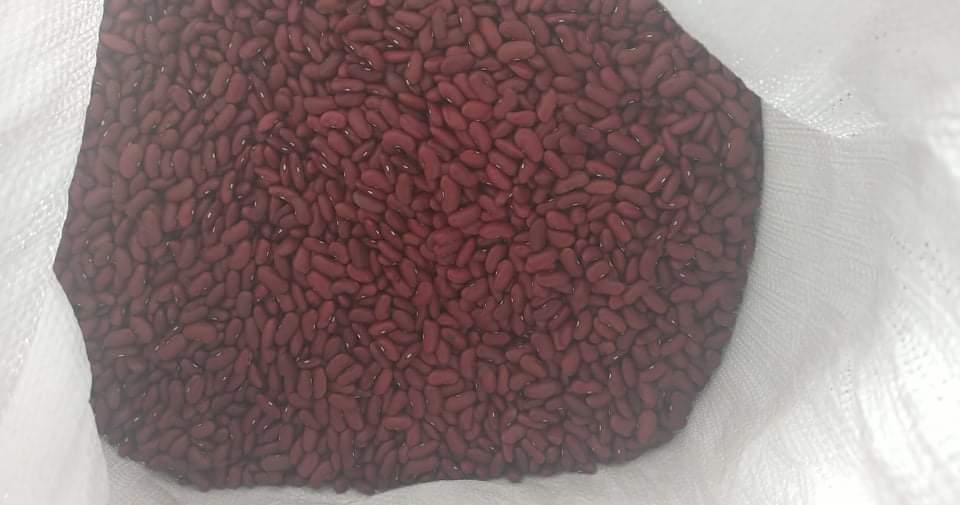 I will sell dry red beans this year