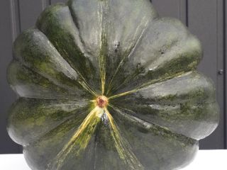 I will sell a muscat de provence pumpkin, nicely