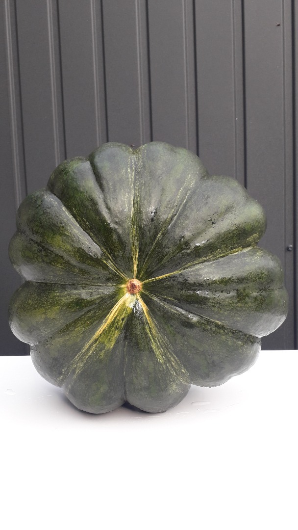 I will sell a muscat de provence pumpkin, nicely colored with different caliber