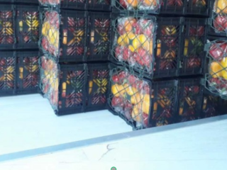 Produkt dostarczany jest w różnych kartonach z kartonu Plast.