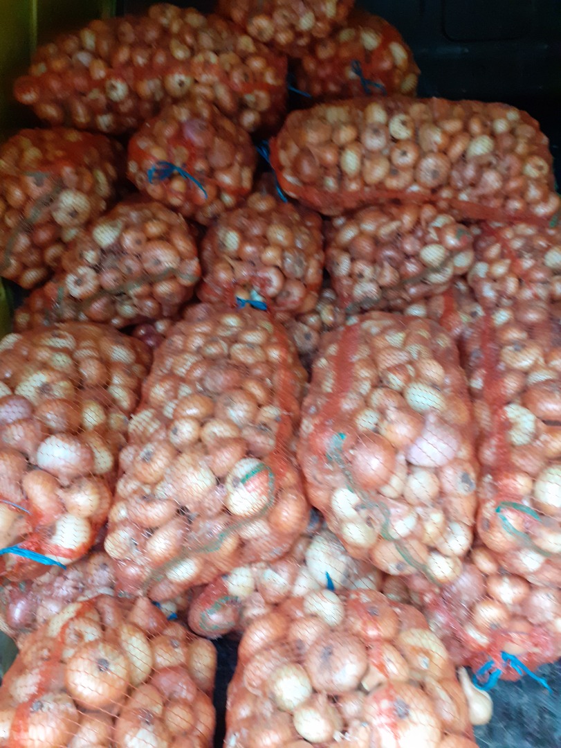 Large amount of flat onions