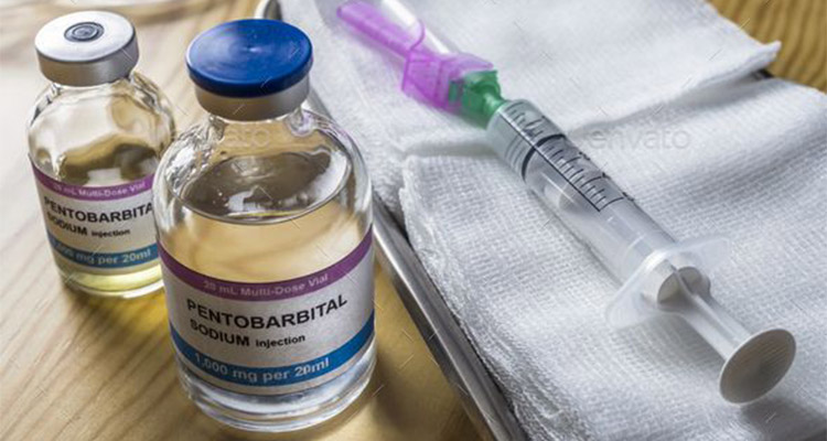 Kaufen Sie günstige Pentobarbital-Nembutal-Pillen, Flüssigkeiten, Pulver und mehr online
