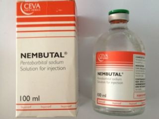 koop goedkope pentobarbital nembutal pillen, vloeistoffen, poeders en meer
