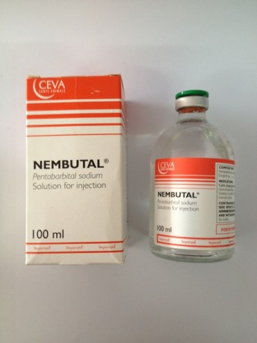 koop goedkope pentobarbital nembutal pillen, vloeistoffen, poeders en meer online