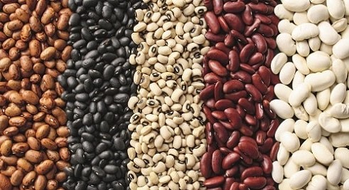 Beans