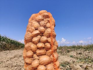 I am selling potatoes for consumption, about 2 tons