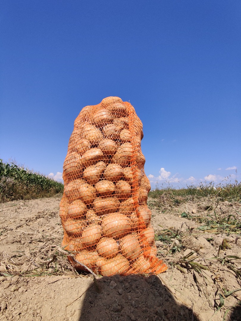 I am selling potatoes for consumption, about 2 tons of yellow kernels