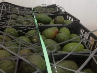 Minimum quantity 1000kg Quality assured