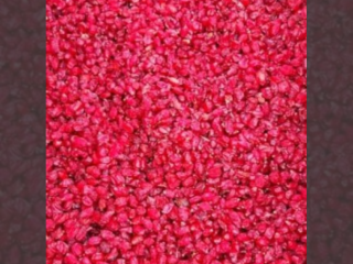 We are the largest supplier and producer of barberry