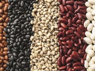 Puppet. Any volume. Delivery of Beans from Ukraine. Retail