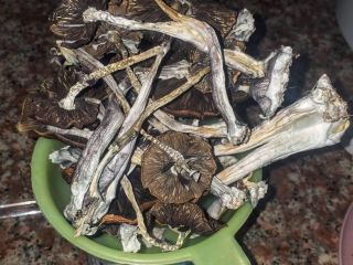 We grow the best shrooms and tope ecological products