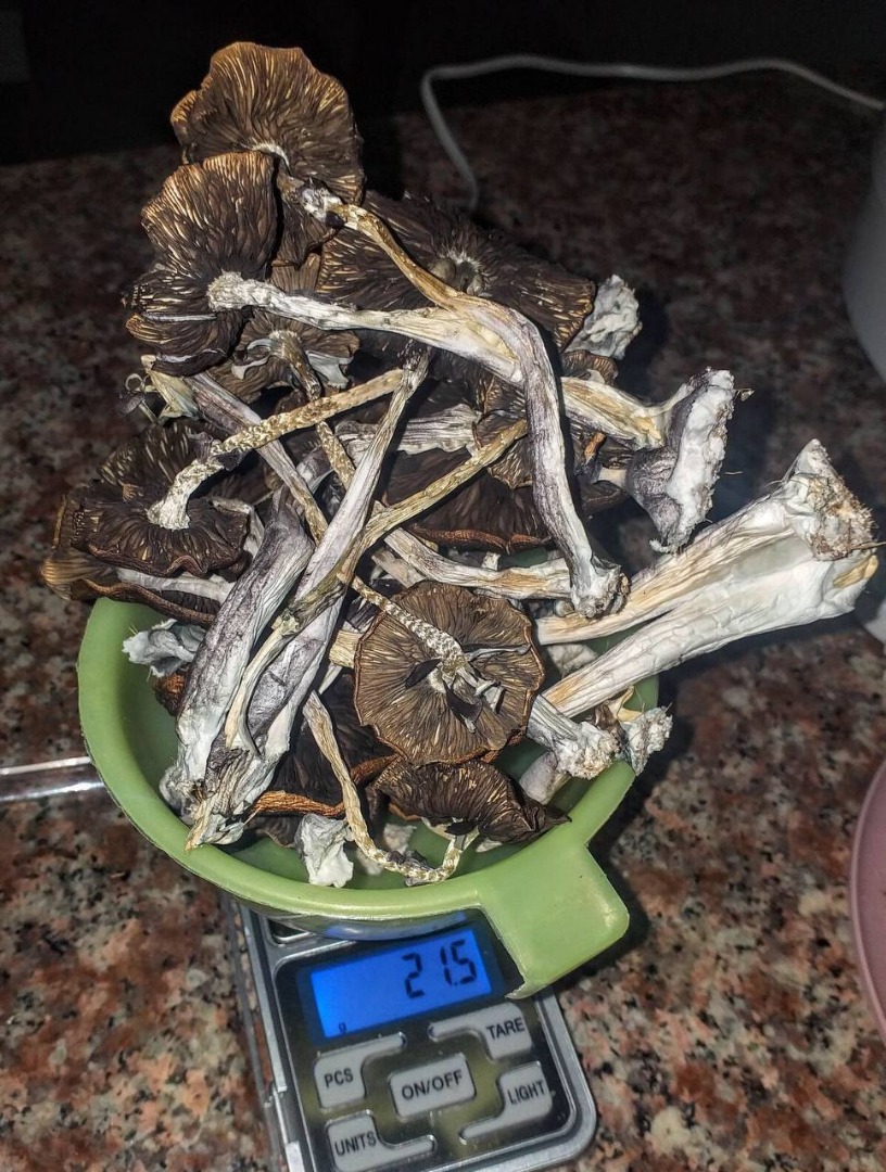 We grow the best shrooms and tope ecological products with highly recommend for patients as well as home consumption .For information on any product contact