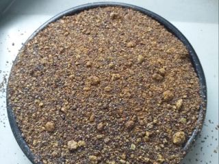 I will sell post-extraction rapeseed meal in the amount