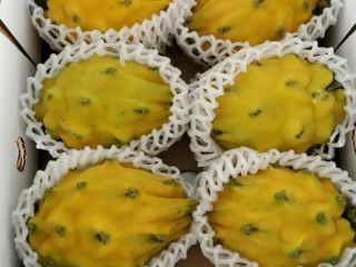 Dried and powdered fruits for snacks, smoothies, ice cream