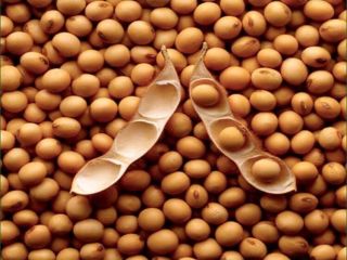 I will buy soy. Self-pickup On a regular basis