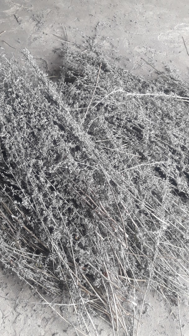 I will sell a wormwood herb amounting to about 5 tons