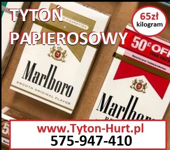 Order from us Polish shop-quality machorke, clean, dry, without pins - at an affordable price PLN 65 per kilogram Number for placing orders Order by phone or