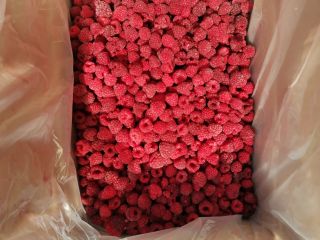Frozen raspberry from Belarus 2021 Raspberries in boxes of