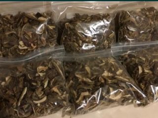 Hello, I am selling dried bay boletes. Own surplus