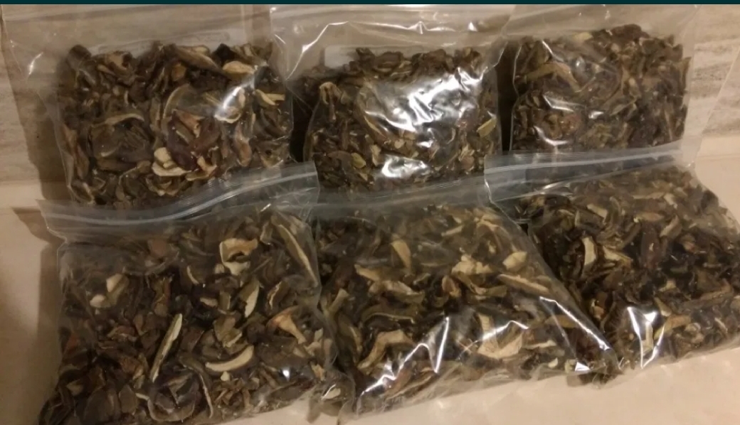 Hello, I am selling dried bay boletes