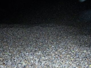 Hello. I will sell ORGANIC buckwheat! Quantity - 6