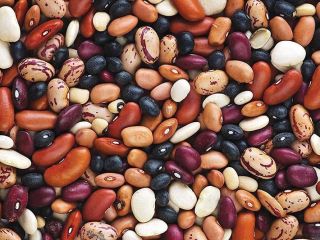 Wholesale beans in stock. Beans from Ukraine Bins Naturproduct