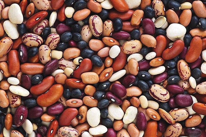 Wholesale beans in stock