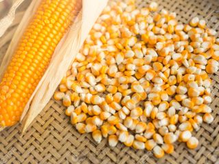 SUNFLOWER OIL email : Organoleptic: Neutral/bland taste; absence of