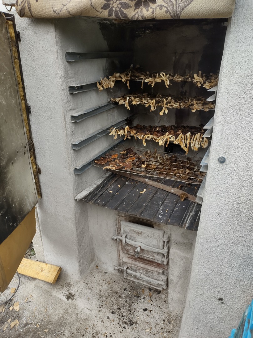 I will sell dried boletus mushrooms, bay boletus