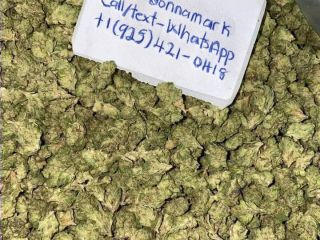 TOP QUALITY MARIJUANA FOR ALL CANCER PATIENT AND WEED