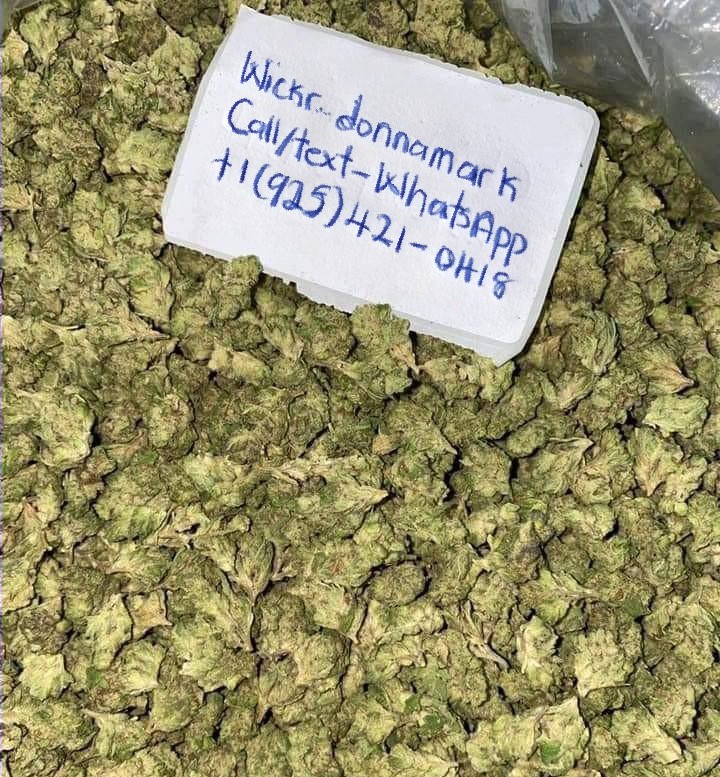 TOP QUALITY MARIJUANA FOR ALL CANCER PATIENT AND WEED LOVERS, SEED AND OIL IS ALSO AVAILABLE, MEDICAL MARIJUANA LICENSE/CARD IS AVAILABLE…