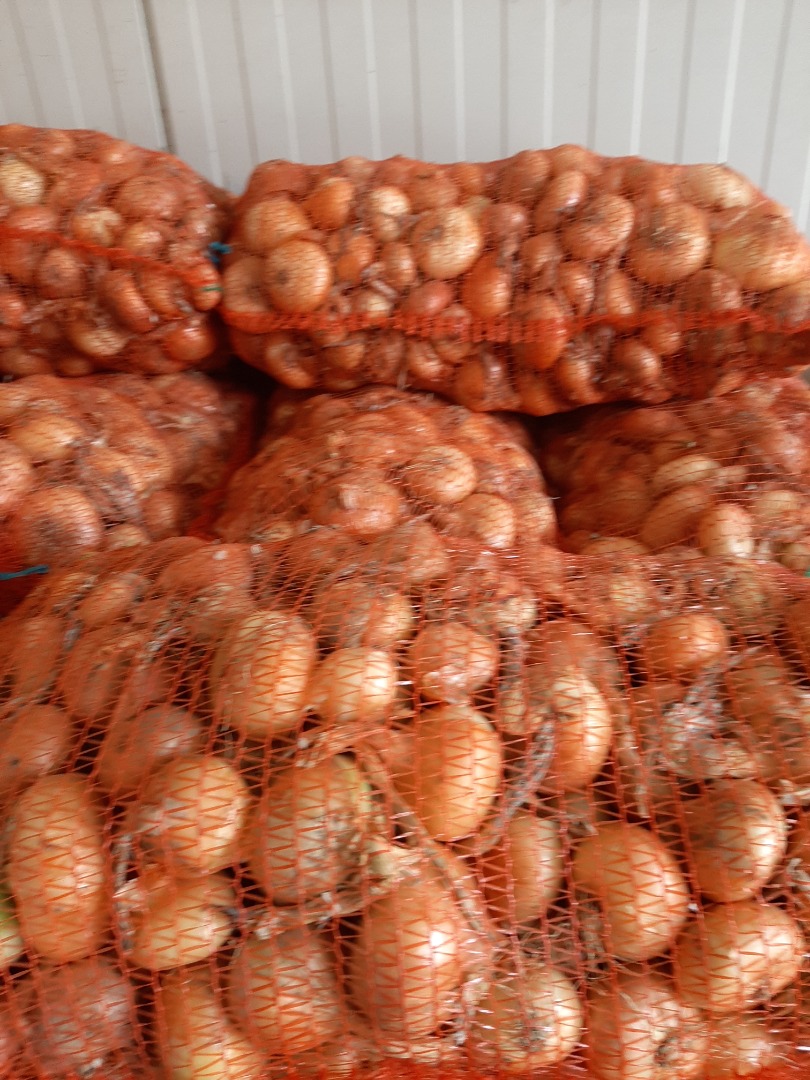 I am selling Stuttgarter Reisen onions hand-picked packed in 20 kg bags