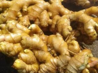 Fresh ginger, great quality