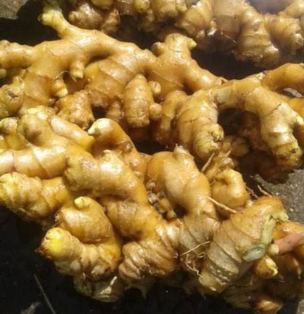 Fresh ginger, great quality