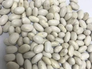 Red and White Kidney Beans Available. Payment terms TT.