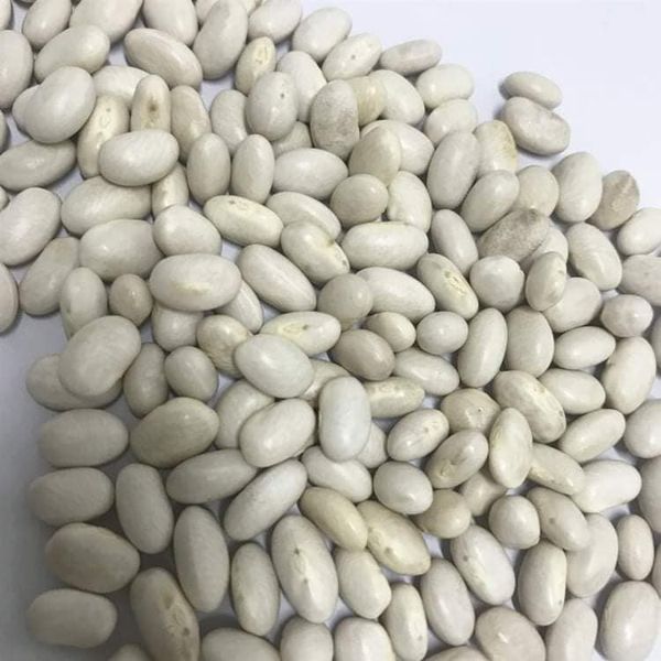 Red and White Kidney Beans Available