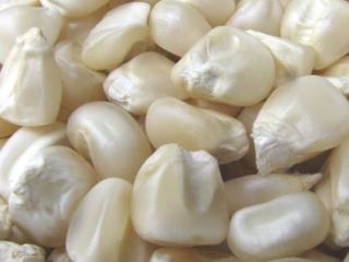 WHITE AND YELLOW CORN, MAIZE WHOLE KERNEL yellow maize