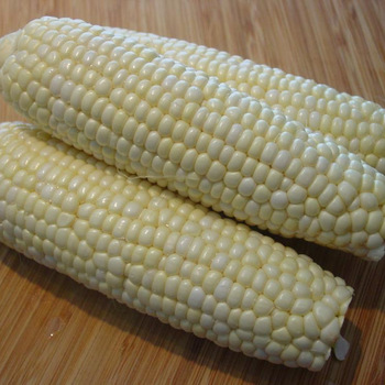 WHITE AND YELLOW CORN, MAIZE WHOLE KERNEL yellow maize is a variety of sweet corn