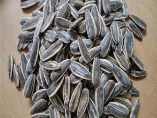 rop Black Sunflower Seeds Price High Quality - Buy