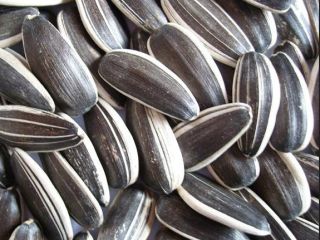 rop Black Sunflower Seeds Price High Quality - Buy