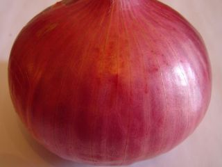 Whether it’s white, red or yellow onions, these pungent
