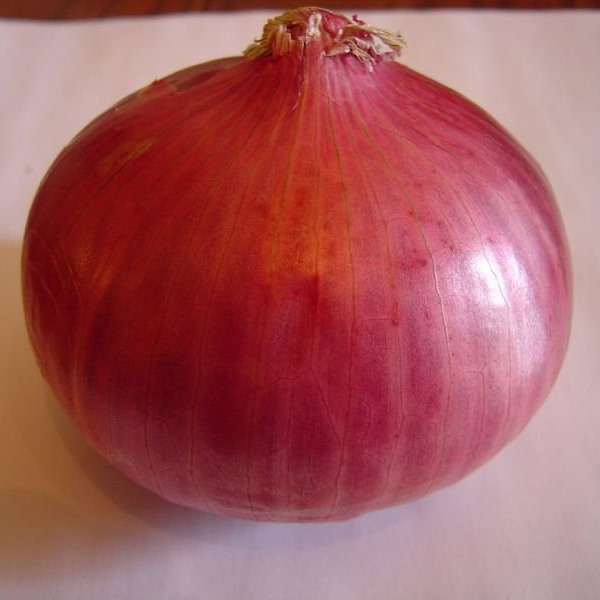 Whether it’s white, red or yellow onions, these pungent allium vegetables pack numerous health benefits in addition to big flavor